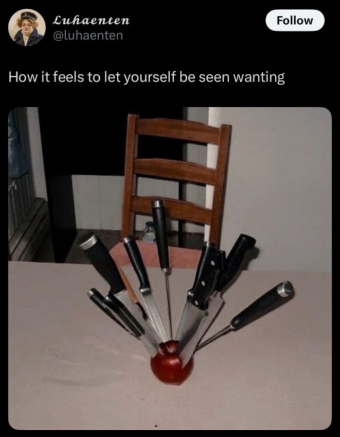 Twitter screenshot from @luhaenten: "How it feels to let yourself be seen wanting" Below is a photo of a red aple on a kitchen bench or table. It has 10 different kitchen knives stabbed into it. The apple is still somehow sitting upright, with all the knives standing upright inside it.