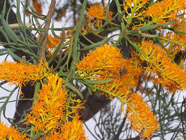 Sky's Vic Park Newsletter #27: cycle lanes, skateboards, and short-term rentals