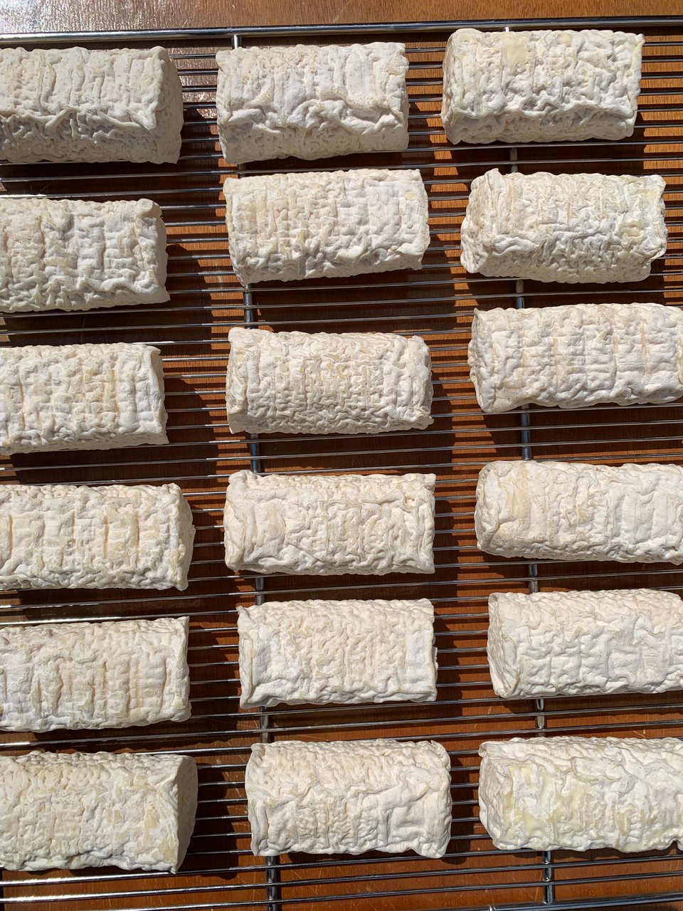 Pyghtle. The next generation.