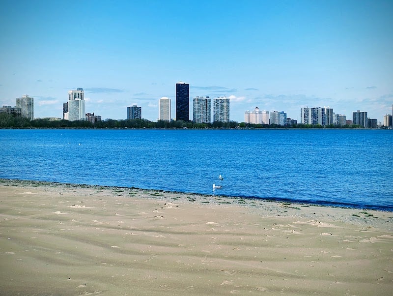 A wide sandy beach in front of a little cove of Lake Michigan, with some tall buildings in the background; a couple seagulls are floating near the shore