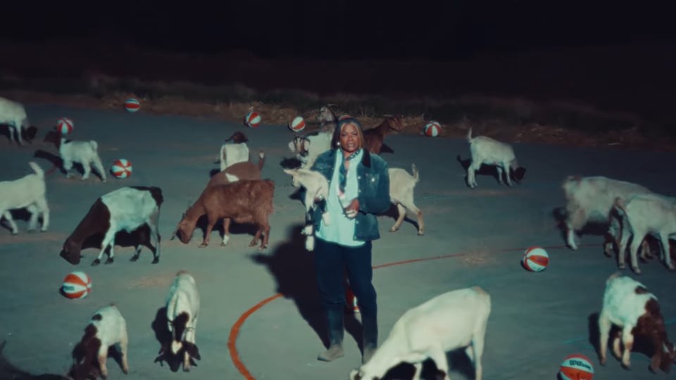 Sheryl Swoopes and a bunch of goats on a basketball court.