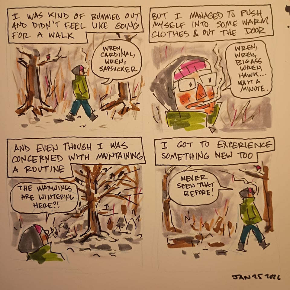 A diary comic. There are captions with each panel. They read: "I was kind of bummed out and didn't feel like going for a walk, but I managed to push myself into some warm clothes and out the door, and even though I was concerned with maintaining a routine, I got to experience something new too."