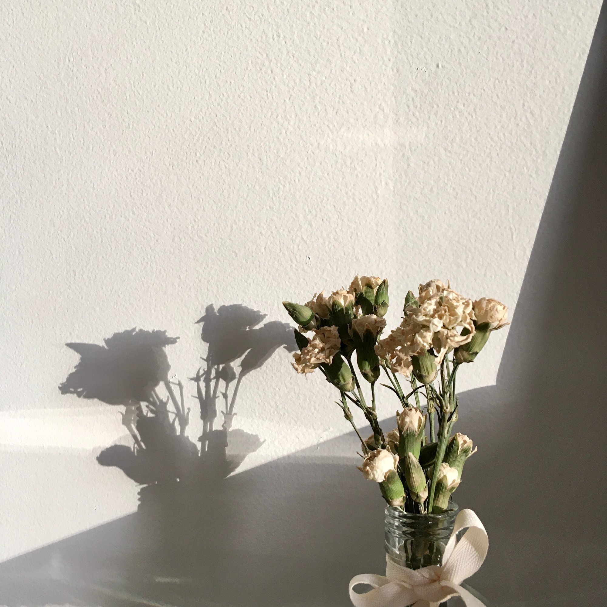 Photo of a small bouquet of dried white flowers, tucked into a glass jar that has a white bow tied around its neck. In the background rests the shadow of the flower jar on the wall.