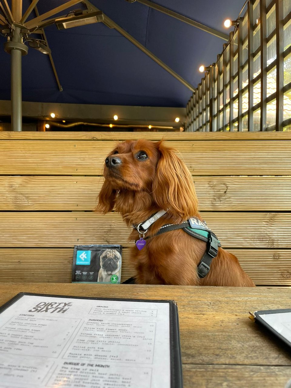Radio looks at the BBQ restaurant menu.