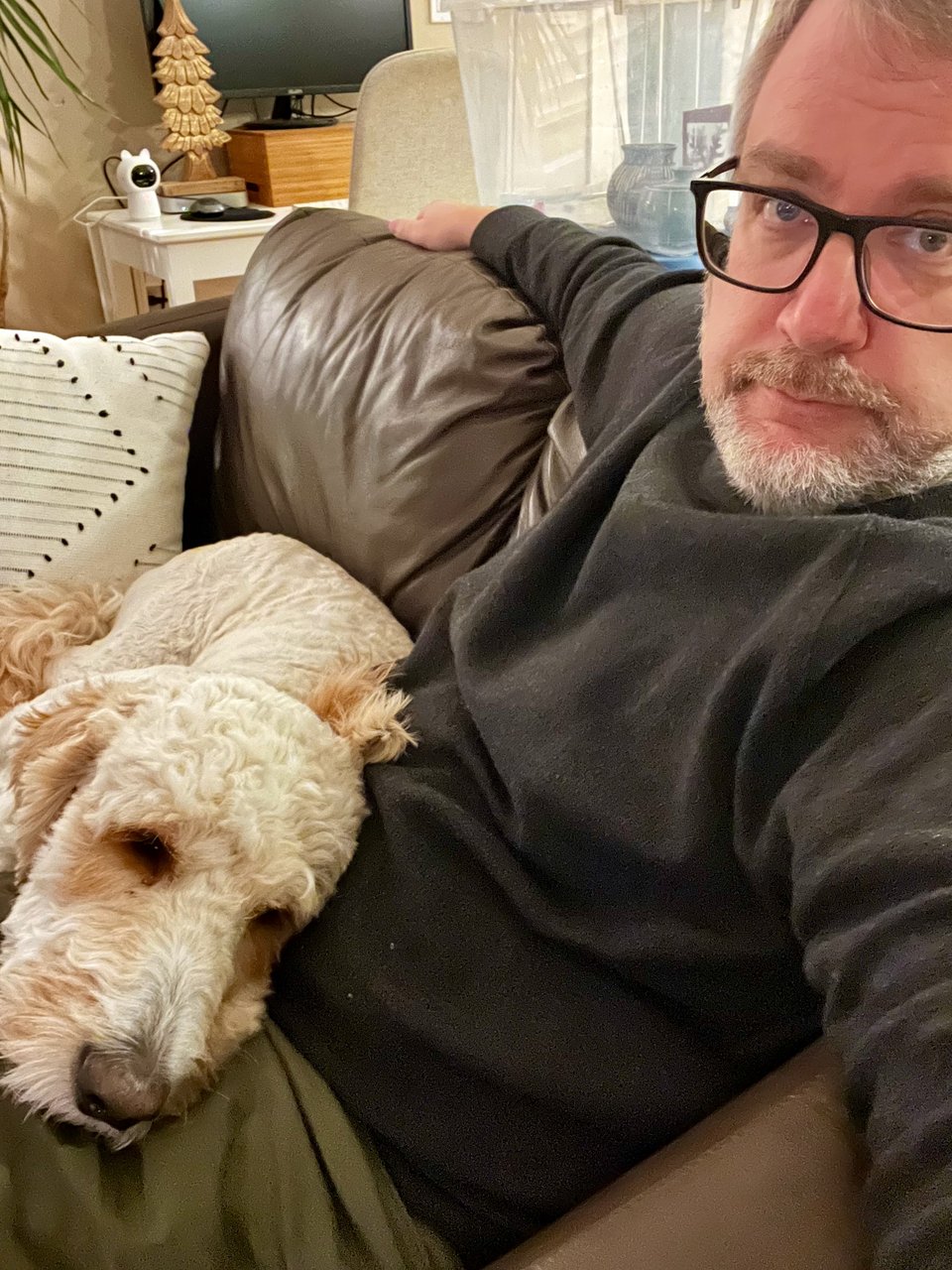 Me sitting on a couch with Neville, our dog, resting his head on my lap and legs.