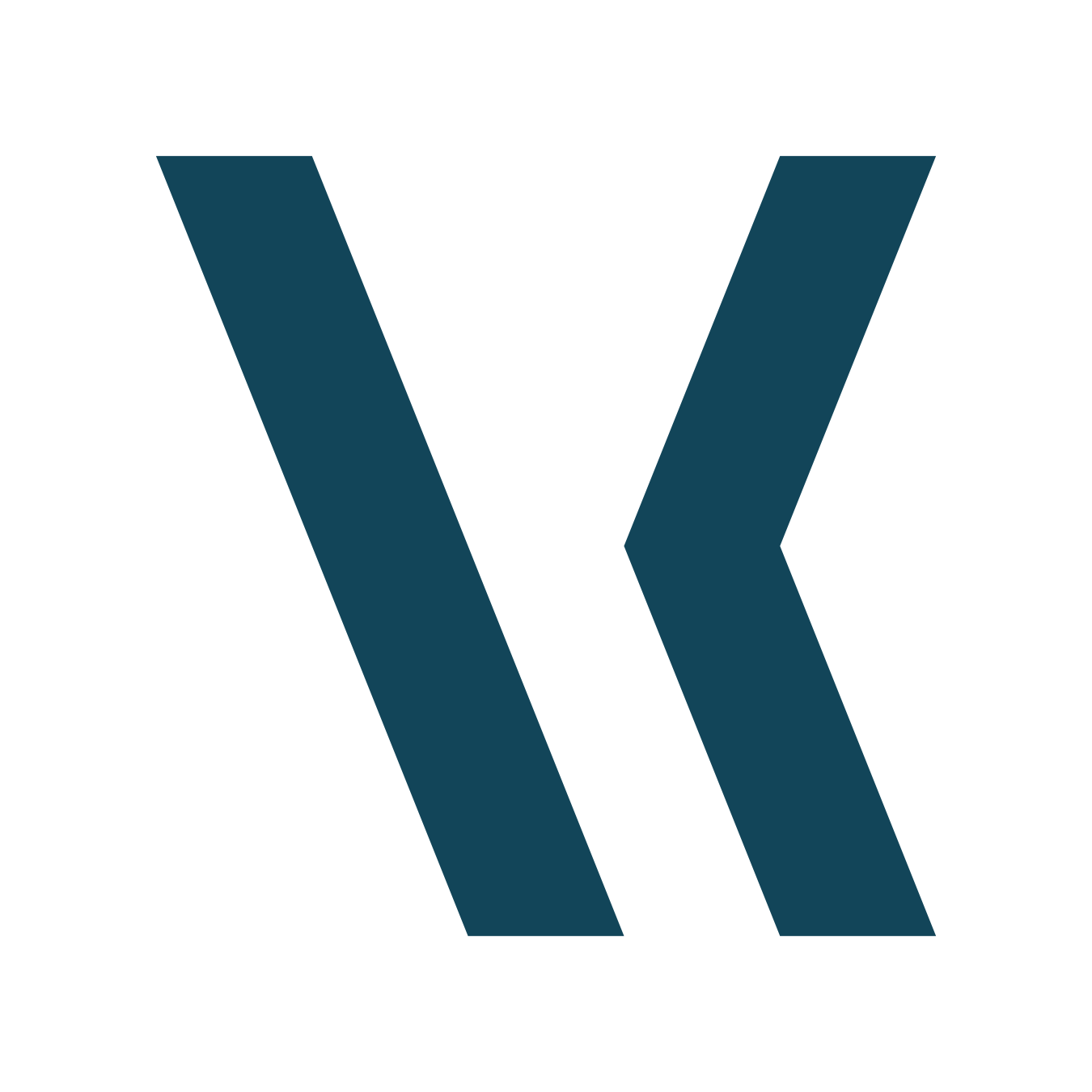 Vizku Newsletter logo