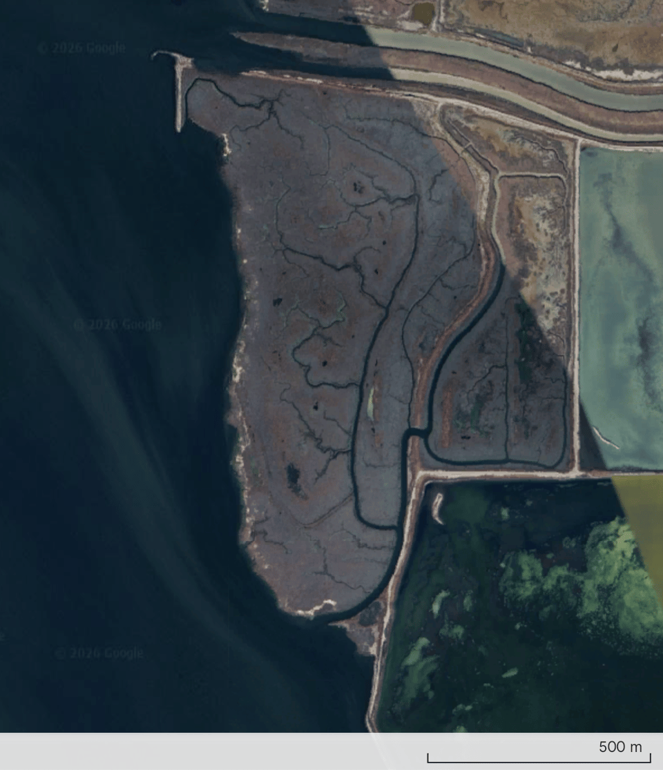 Screenshot 2026-02-01 at 08.50.05.png