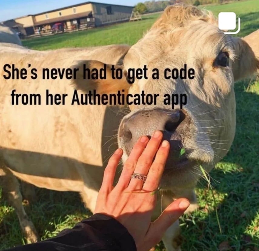 A photo of a Jersey (?) cow standing in a field, with some grass coming out of the side of her mouth. A person's hand is reaching from behind the camera to touch her gently on the nose. In the background you can see a stable or similar. Overlaid text reads: She's never had to get a code from her Authenticator app