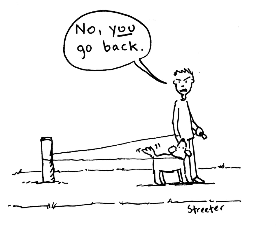 Dog walking cartoon