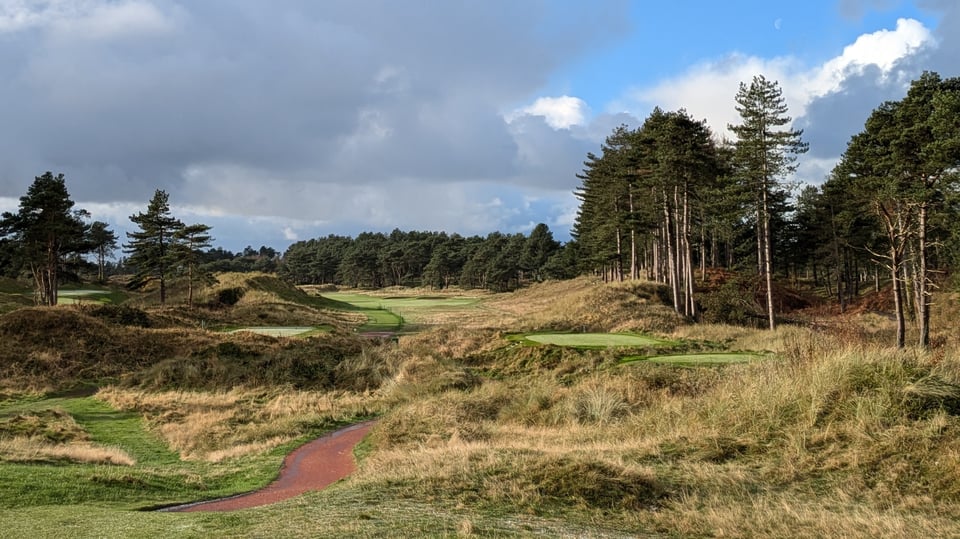 Formby 6th, raised green tee boxes amongst wispy light-brown grass dotted back from the fairway, flanked by tall pines, 7th green visible to the left foreground