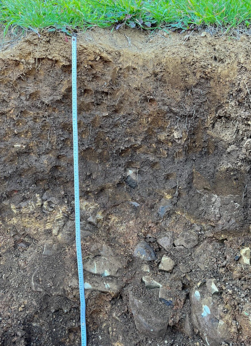 A soil profile with a blue measuring tape running down the face. Green grass is at the surface. The soil is mostly brown with some yellow-ish bits. Rocks become more frequent in deeper horizons.
