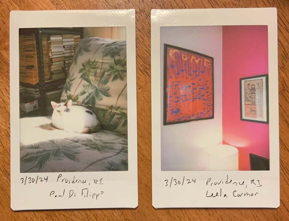 Photo of a pair of Instax vertical photos: left is a cat in a sunbeam on a daybed, and right is a corner of a living room, with prints on the wall and a lamp below.