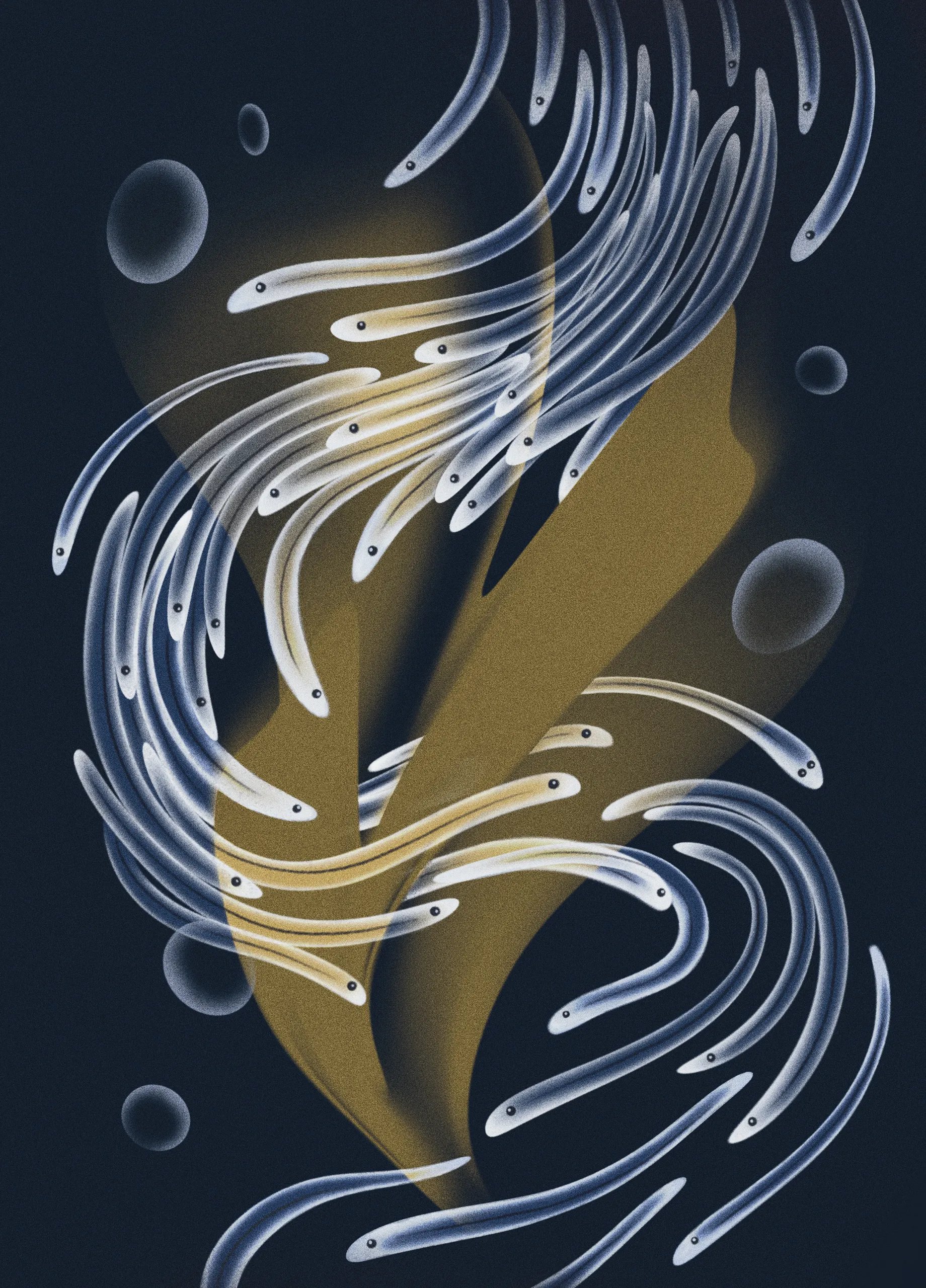 Last Week’s New Yorker Review: June 24, 2024