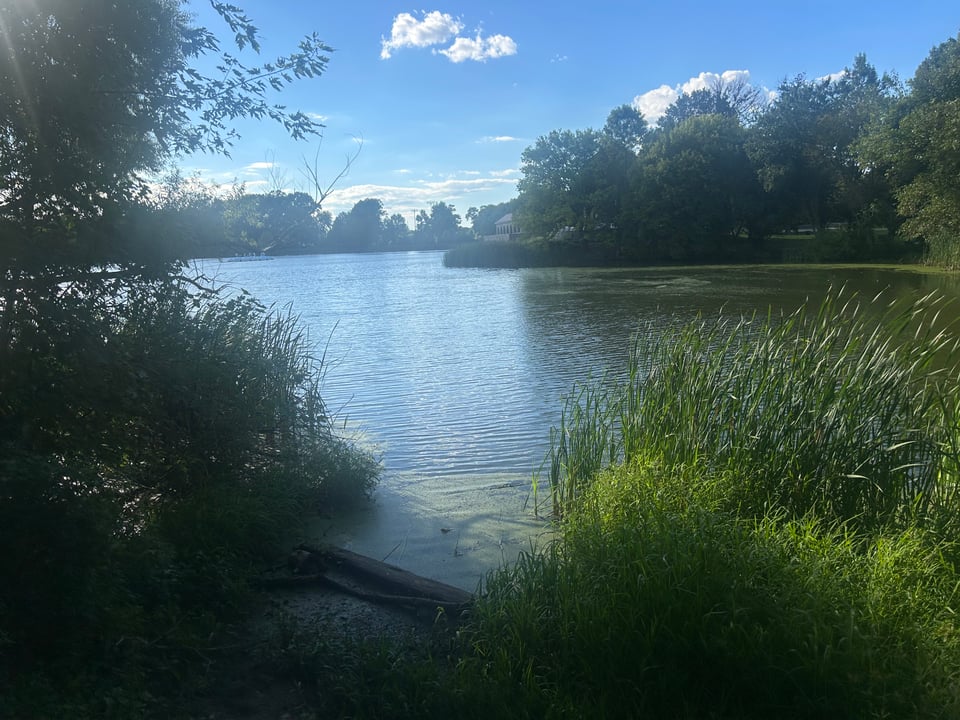 A tranquil view of a lake surrounded by lush greenery and trees under a blue sky with fluffy clouds.