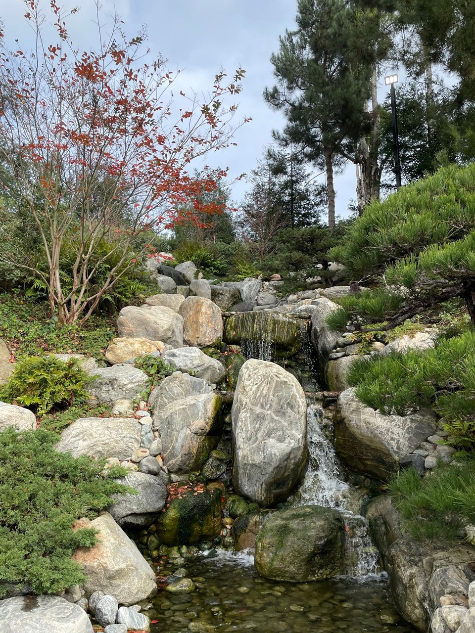 A stream with a small waterfall in the Japanese Friendship Garden
