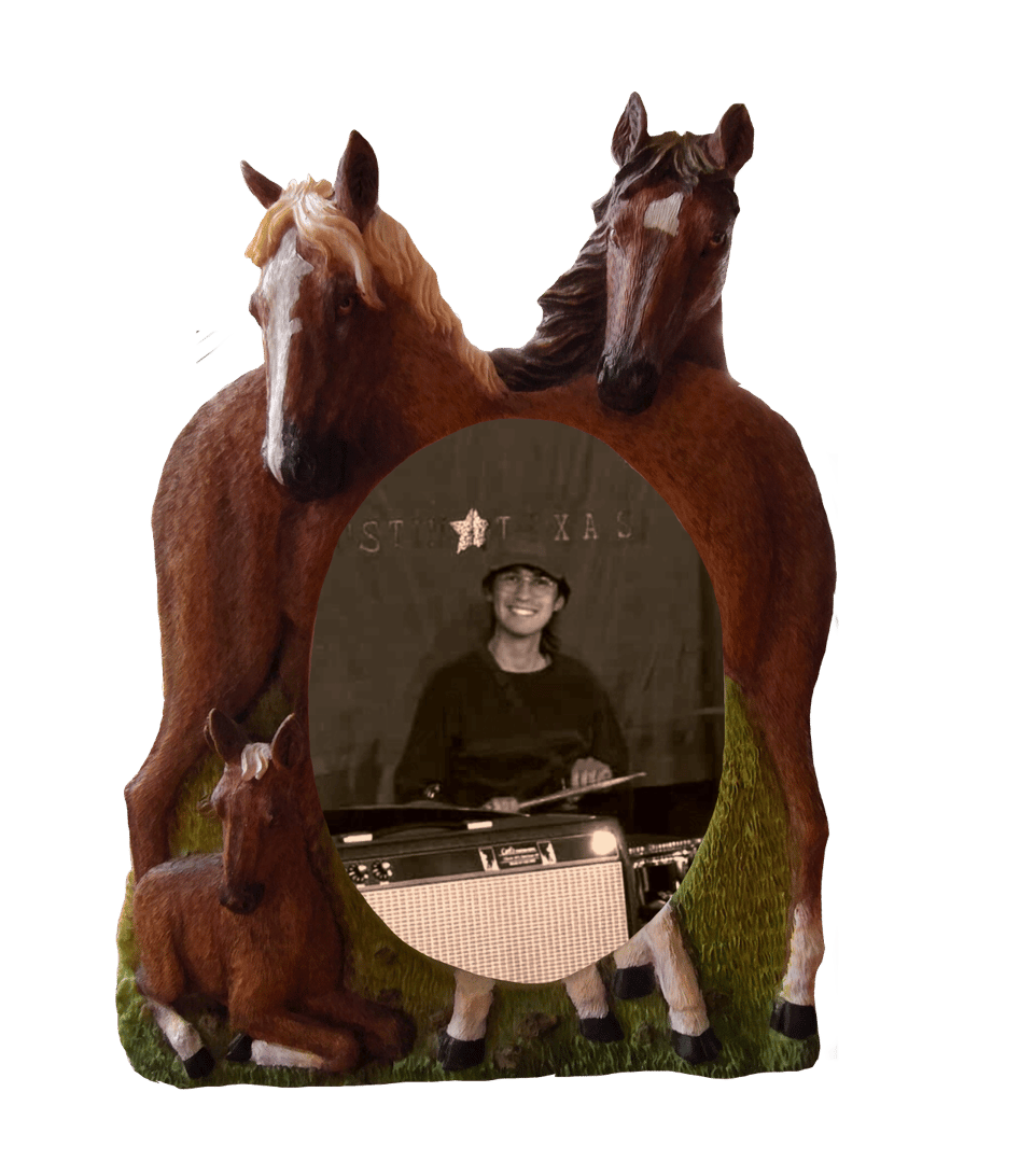 image of Treven in a horse frame