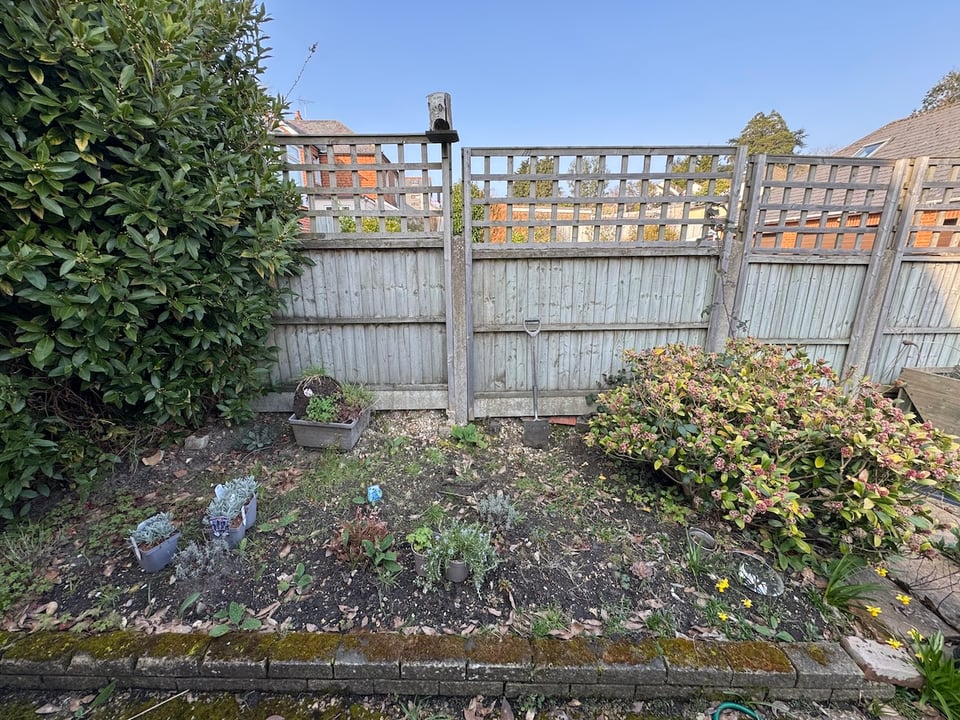 A very neglected garden border.