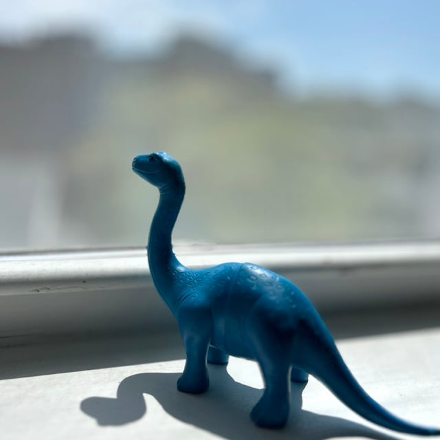 Lost blue dinosaur