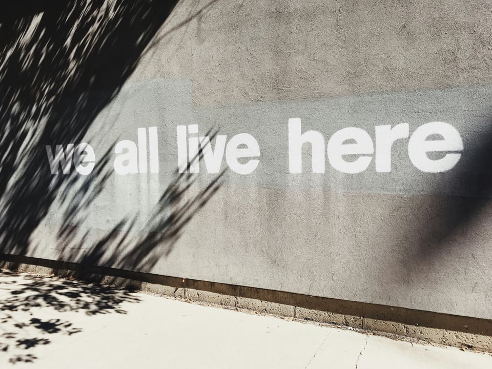 Concrete wall with white letters stenciled: "we all live here"
On the top left side of the photo the trees are shading the wall and partially shading "we."