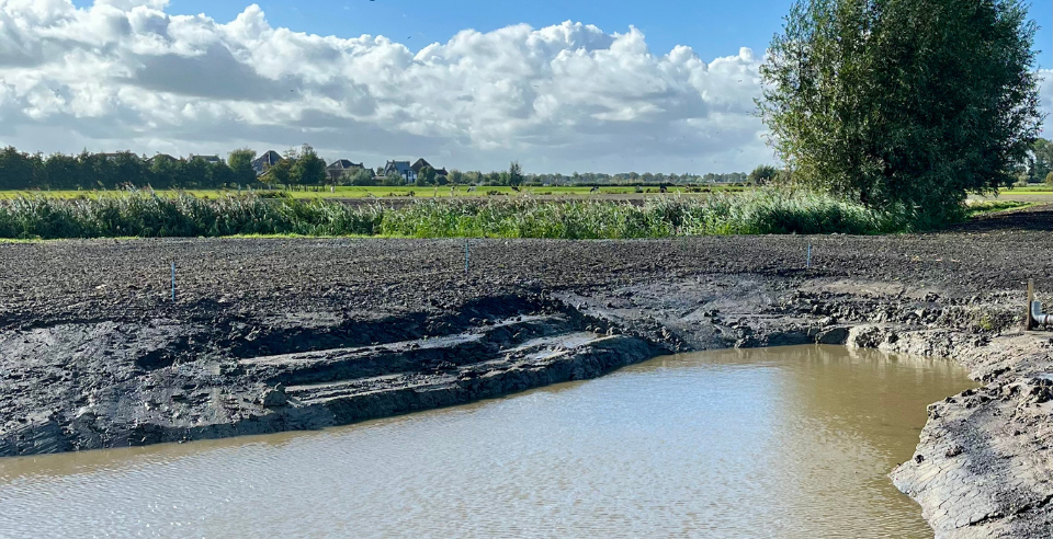Vijver vol regenwater