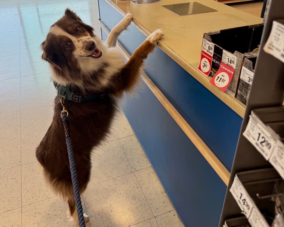 Flip "standing" at a counter