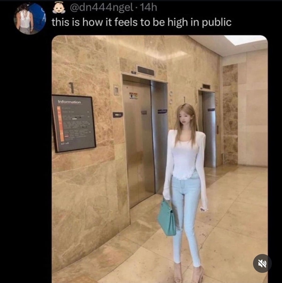 A photo of a woman standing in a building lobby, with elevators behind her. All the surfaces are marble. The woman's proportions are weird, her limbs too long, her head too small.
Text above reads: this is how it feels to be high in public