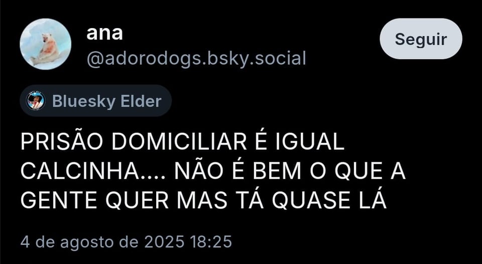 Imagem mostra post da @adorodogs com o texto: “PRISÃO DOMICILIAR É IGUAL CALCINHA…. NÃO É BEM O QUE A GENTE QUER MAS TÁ QUASE LÁ”