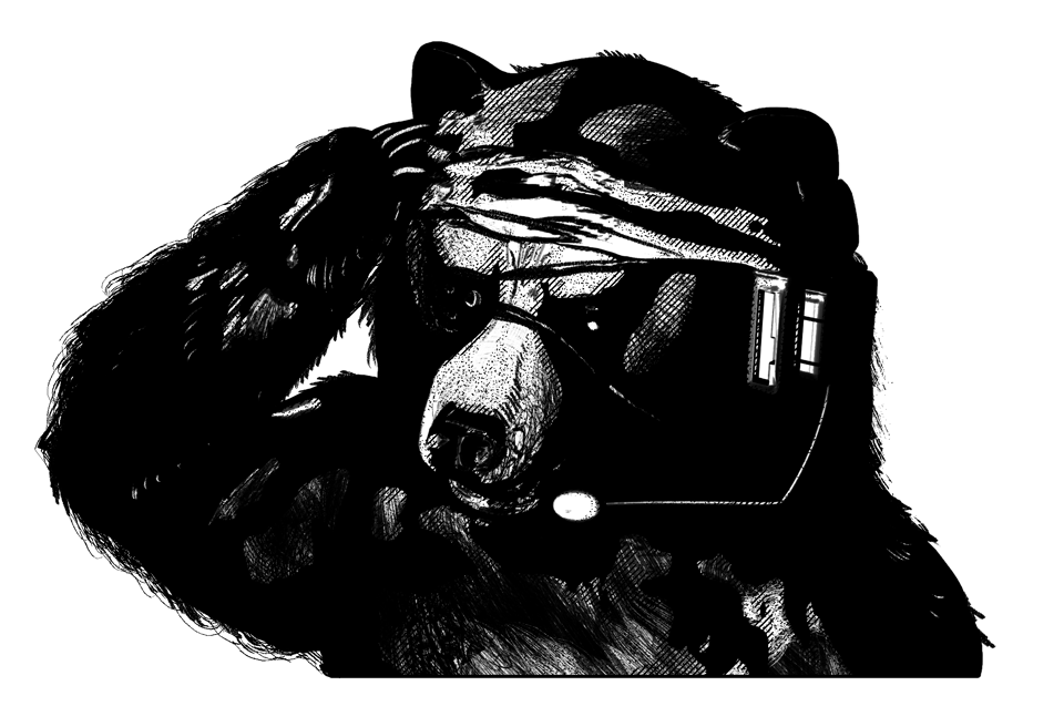 bear with eyepatch and headset and bandana