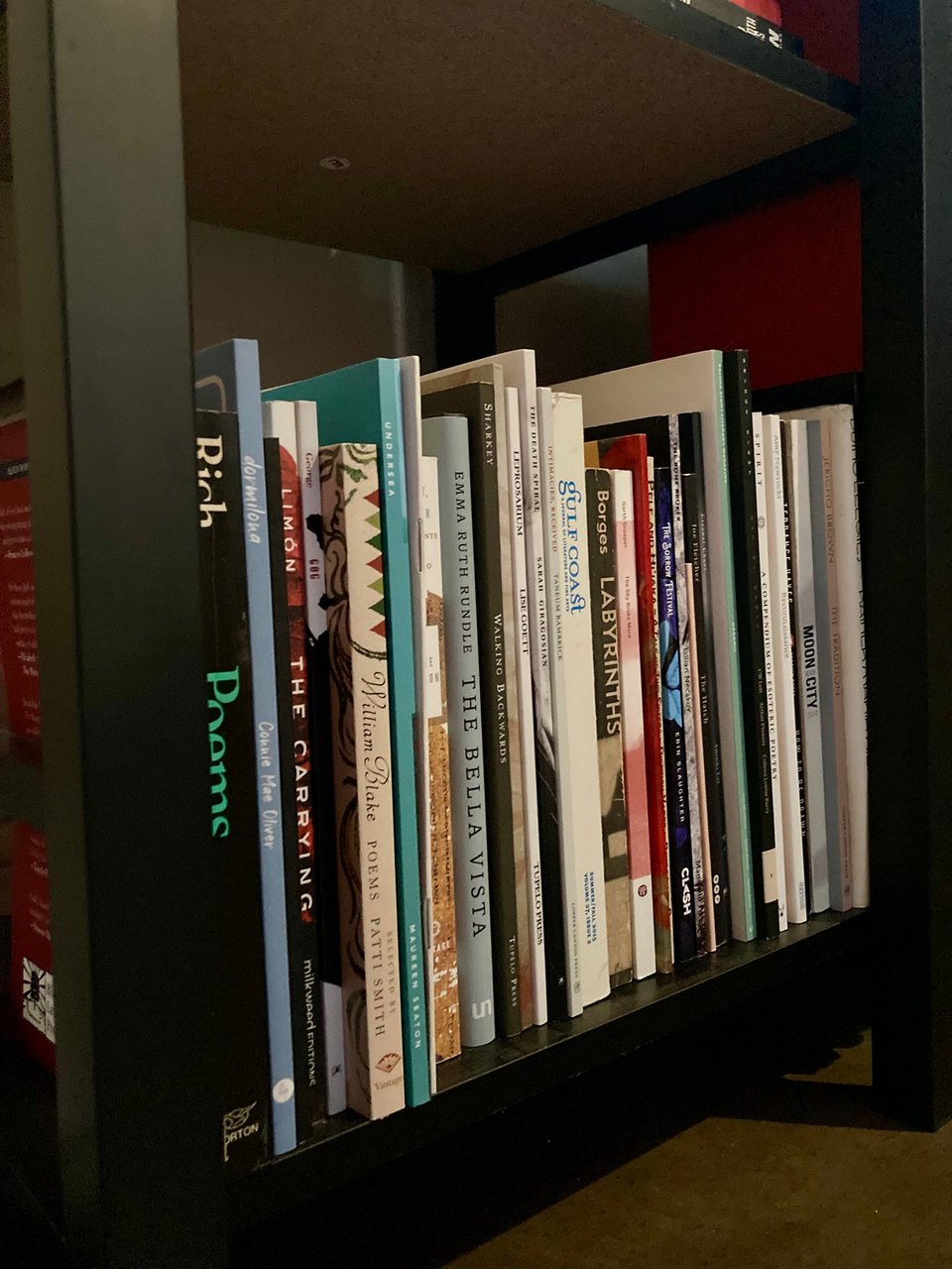 a photo of D's poetry bookshelf, a black shelf with unalphabetized titles. some titles include books by Ada Limon, Connie Mae Oliver, Emma Ruth Rundle, and collections of Moon City, Gulf Coast, and other lit journals.