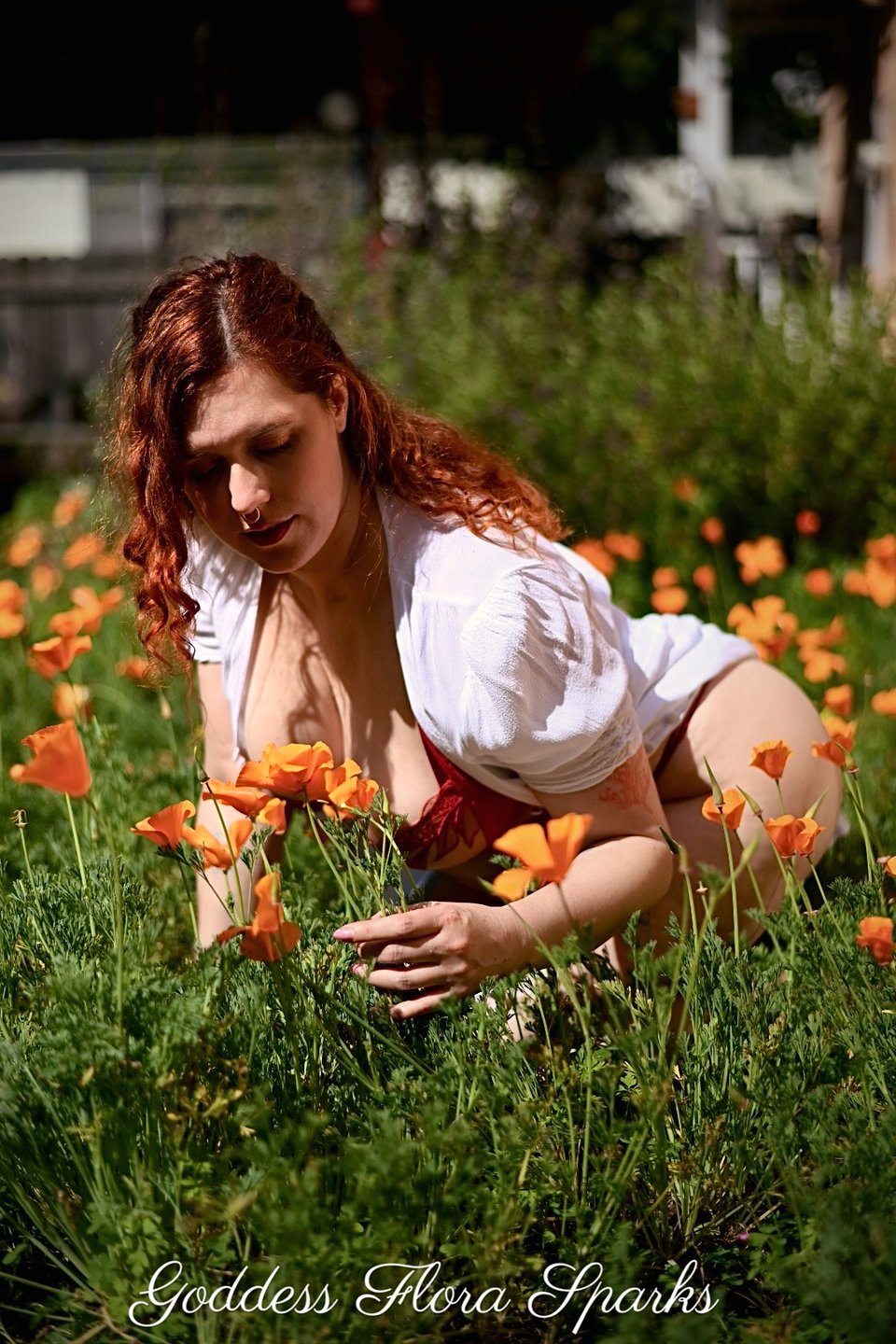 flora is in a poppy field and is reaching to pick a california poppy