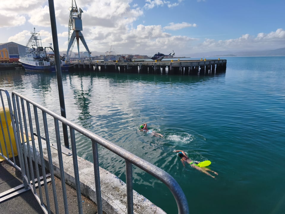 2 swimmers with floats swimming into the piers in Wellington harbour