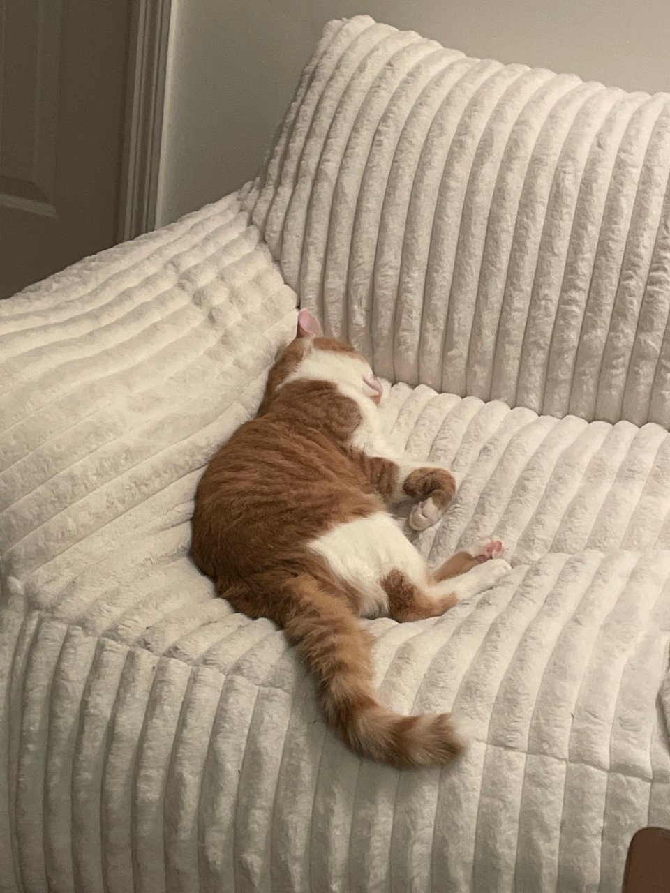 Timmy zonked from a long day