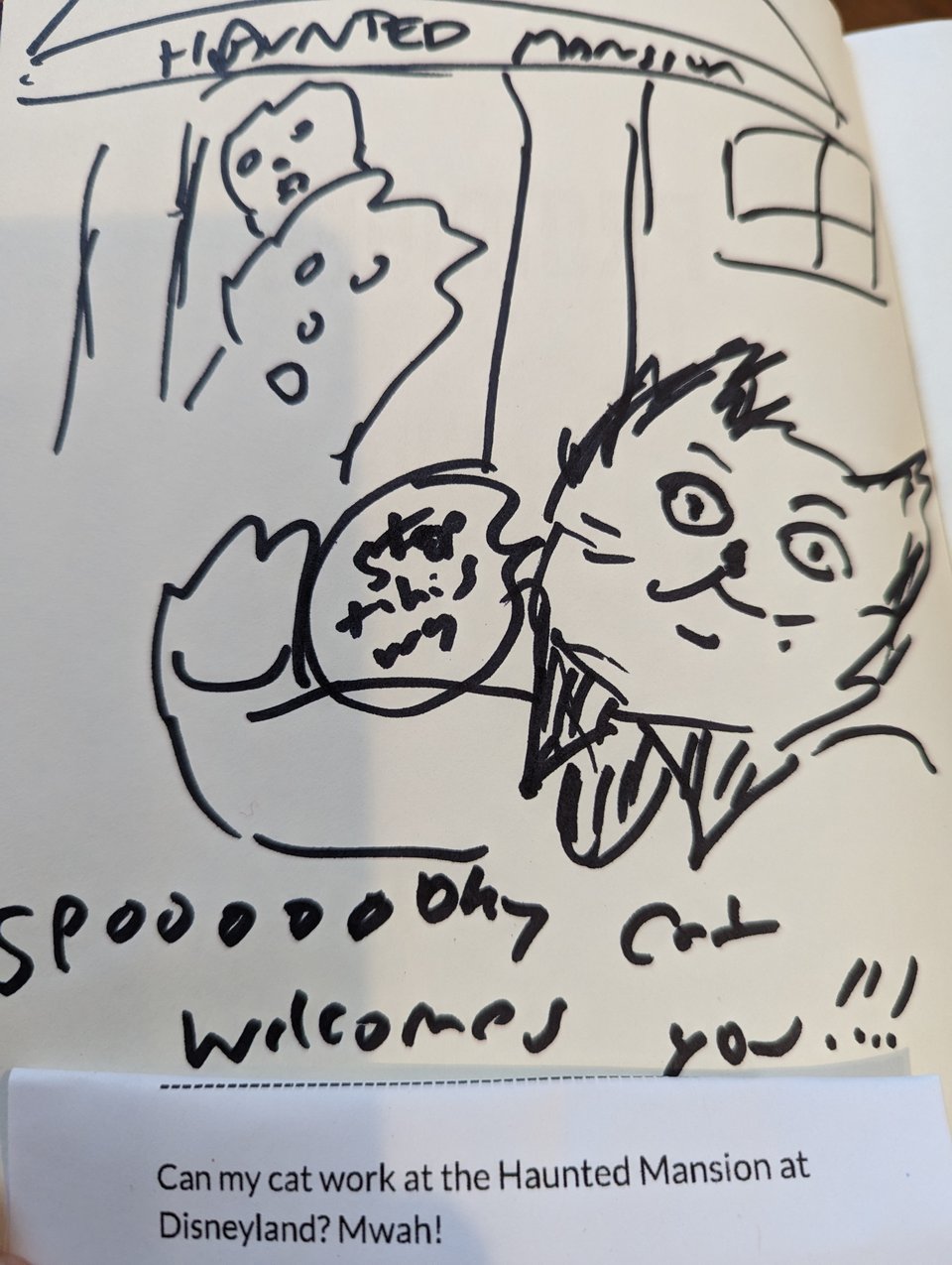 A cat working at the Haunted Mansion. The cat is very spooooky. There are ghosts!