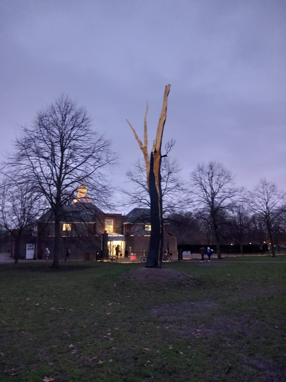 Prophecy - January 2026