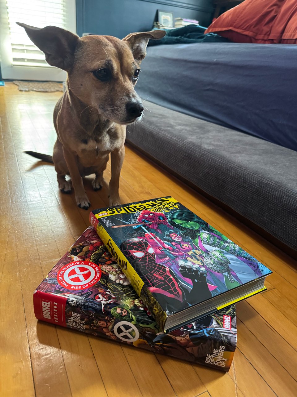Gang War and FotHoX/RotPoX Omnibuses, with chihuahua for scale