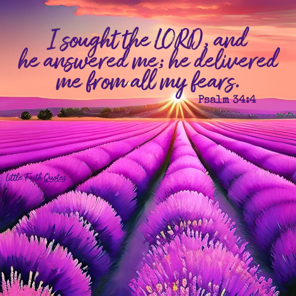 "I sought the LORD, and he answered me; he delivered me from all my fears." ~Psalm 34:4. Image by: @Little Faith Quotes.