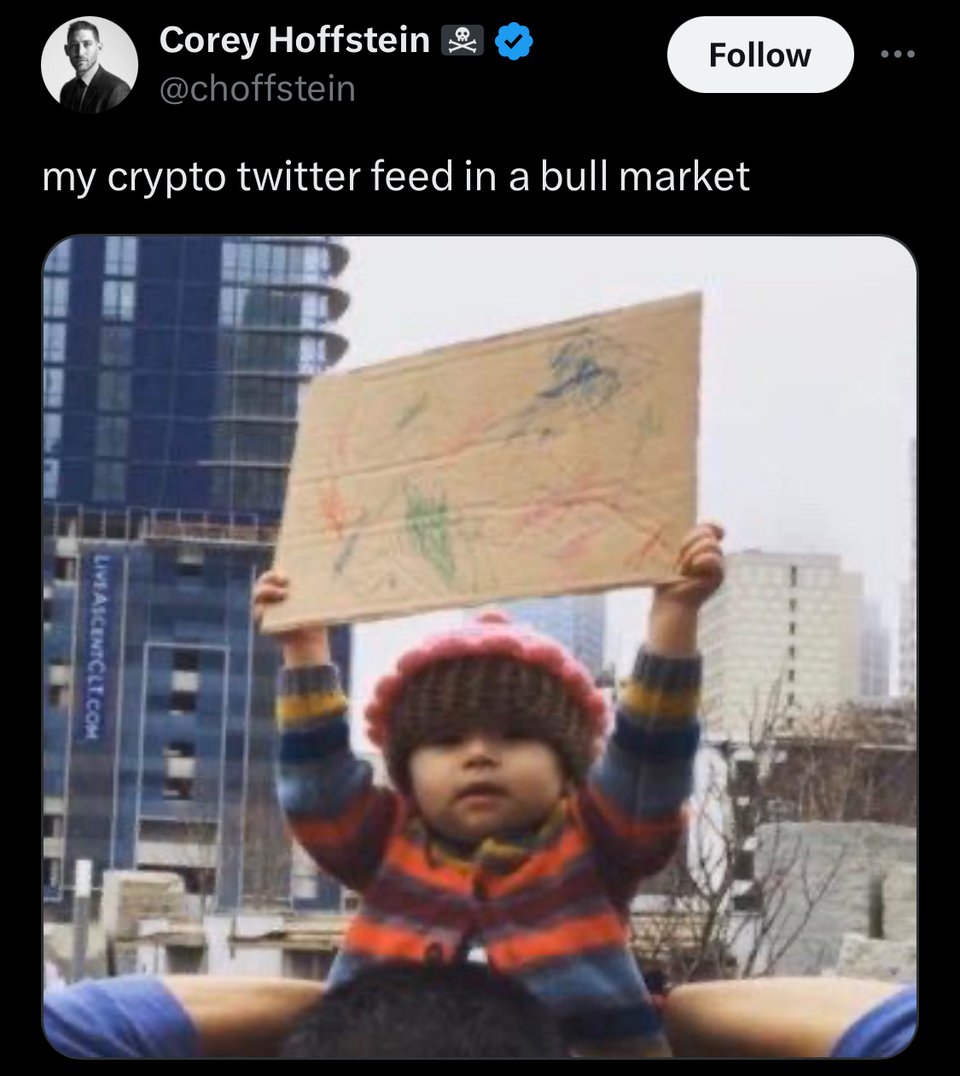 The meme of the baby holding up a protest sign full of scribbles. The tweet reads: 'my crypto twitter feed in a bull market'. Image source: Corey Hoffstein's Twitter feed, 2024/03/06. Yes, I'm still calling it 'Twitter.'