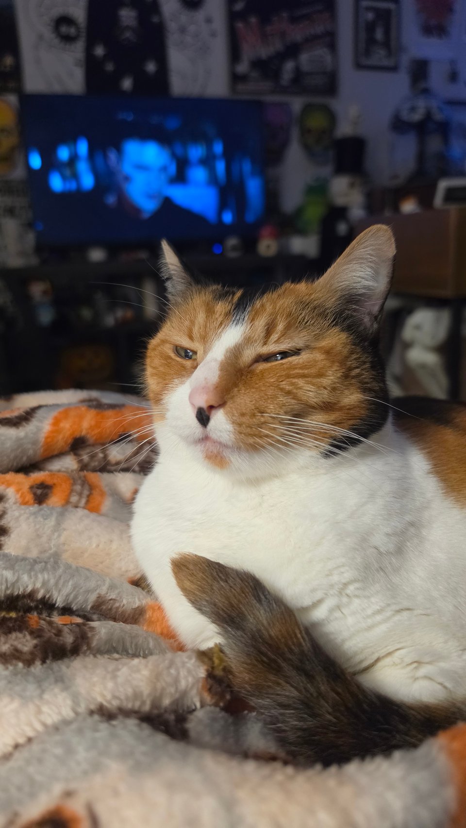 An orange-and-white cat lounges on a fuzzy patterned blanket, squinting sleepily at the camera, while a glowing TV and poster-covered wall fill the dim background.