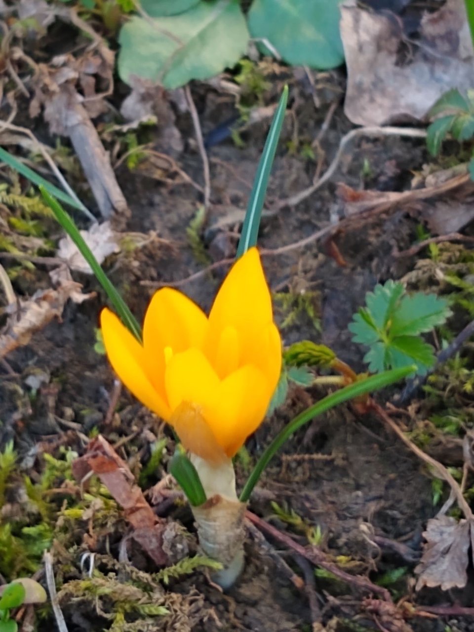 Утре започва от днес (в борбата за климата и не само)