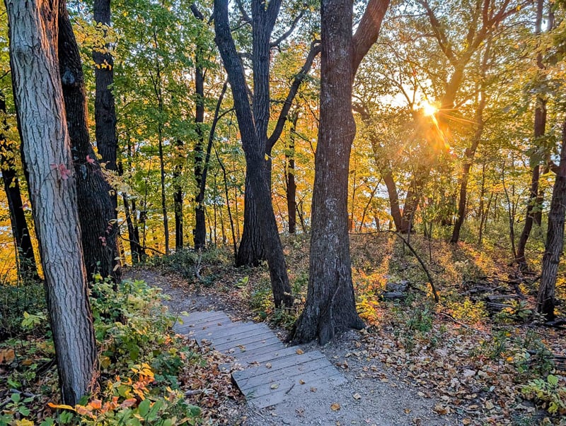 There’s no better season to hike in the park than fall. Not only are foliage colors and the quality of light shifting and shimmering in the woodlands, they’re also doing so in the park’s prairie and flood plain biomes. So much beauty, so many places. / Photo by Jake Gaster