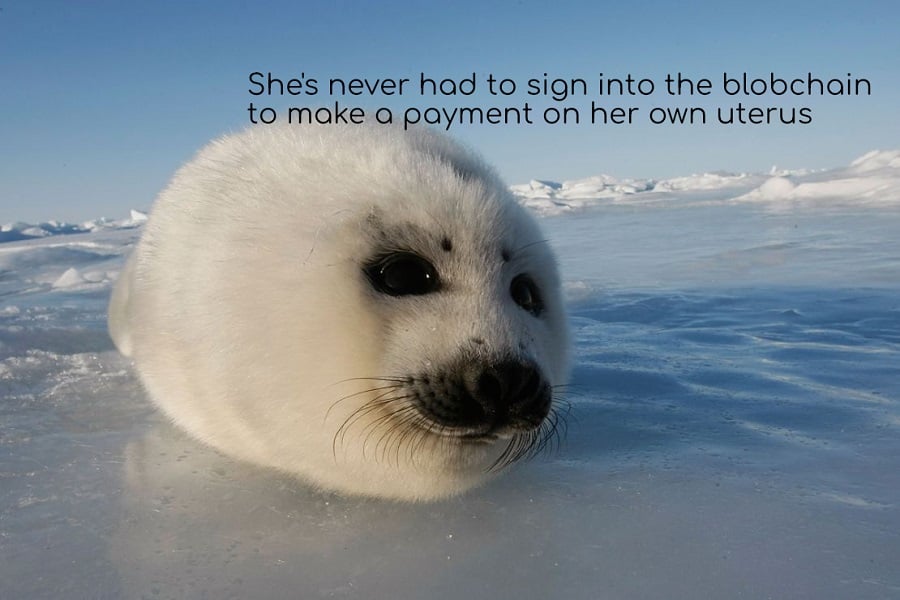 A photo of a long-extinct white fluffy Antartic animal - some sort of seal perhaps - with ice beneath it and in the background. Overlaid text reads: She's never had to sign into the blobchain to make a payment on her own uterus