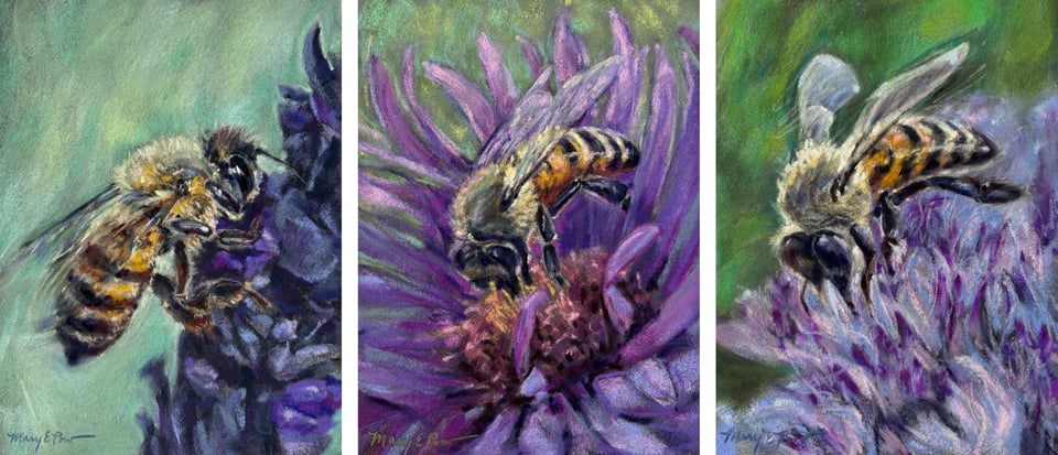 Edina Art Fair / June 5-7