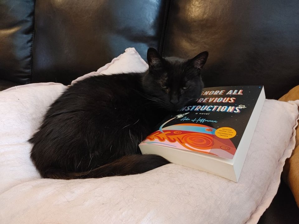 Ninja, a black cat with green eyes, lounges contentedly on a pink pillow with a copy of Ada Hoffmann's book, "Ignore All Previous Instructions."