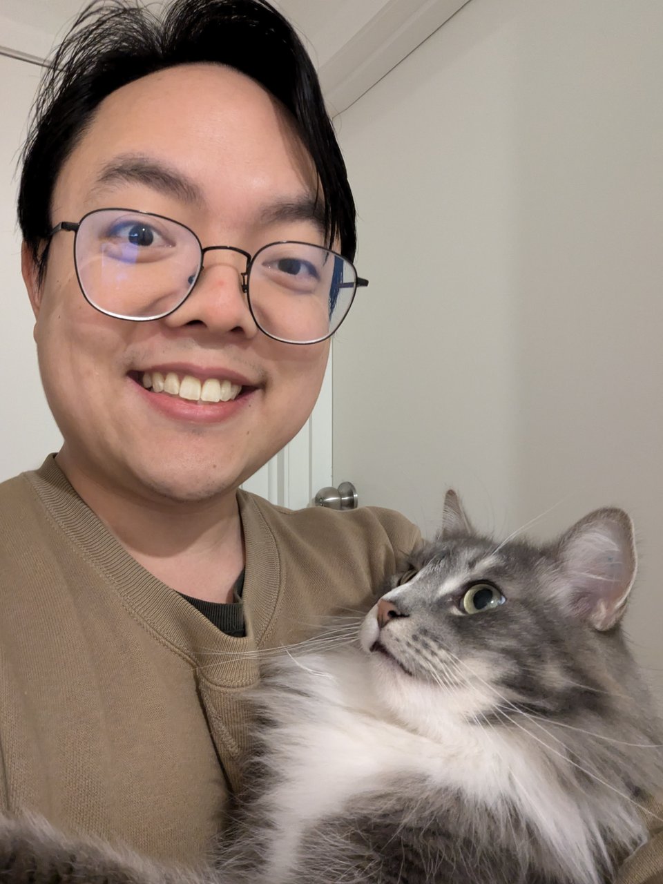 263 - to the holidays we go 🎄