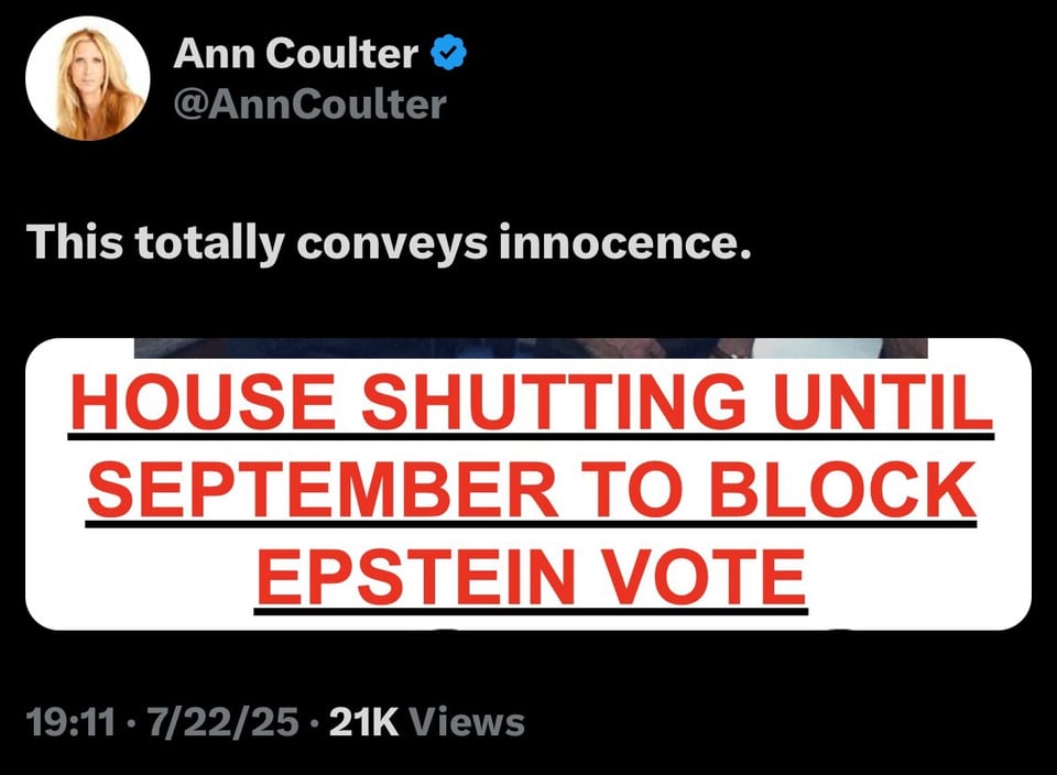 Ann Coulter implies Trump is guilty of something bad.