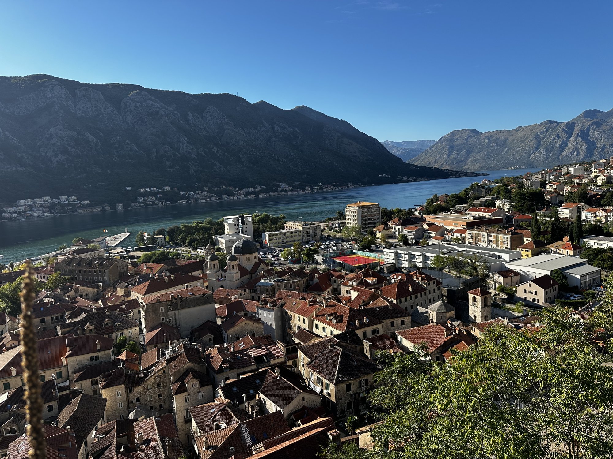 Kotor's red roofs and the inner Bay of Kotor, seen from the fortress above town