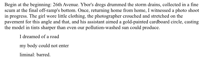 haibun excerpt reading: "Begin at the beginning: 26th Avenue. Ybor's dregs drummed the storm drain, collected in a fine scum at the final off-ramp's bottom. Once, returning home from home, I witnessed a photo shoot in progress. The girl wore little clothing, the photographer crouched and stretched on the pavement for this angle and that, and his assistant aimed a gold-painted cardboard circle, casting the model in tints sharper than even our pollution-washed sun could produce.
I dreamed of a road
my body could not enter
liminal: barred."