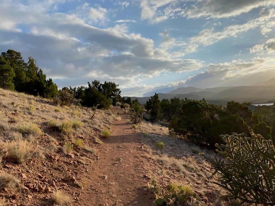red dirt trail in Arroyo Hondo Open Space, taken July 4, 2021 before 7am.  Pinon trees and Cholla line the trail. Sangre de Cristo Mountains in background.