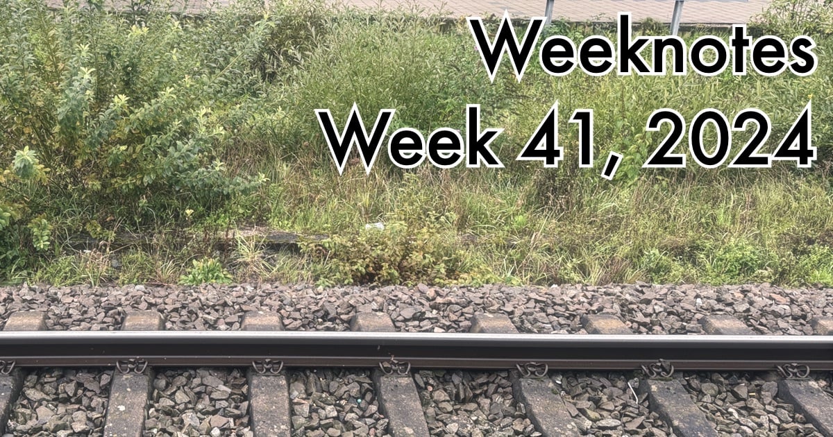 Week 41, 2024: Now what?