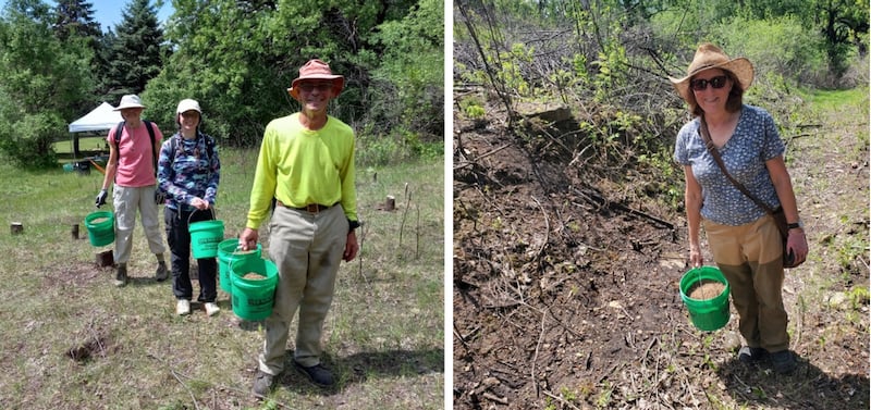 Left: FSPA member Deane Karli was among volunteers recently improving the habitat along a new Frontenac State Park trail in the area west of Hill Avenue as part of a Great River Greening event. / Photo by Barb Partington. Right: Barb Partington helped clear invasives on the new park trail with Great River Greening and other FSP volunteers. / Photo by Deane Karli